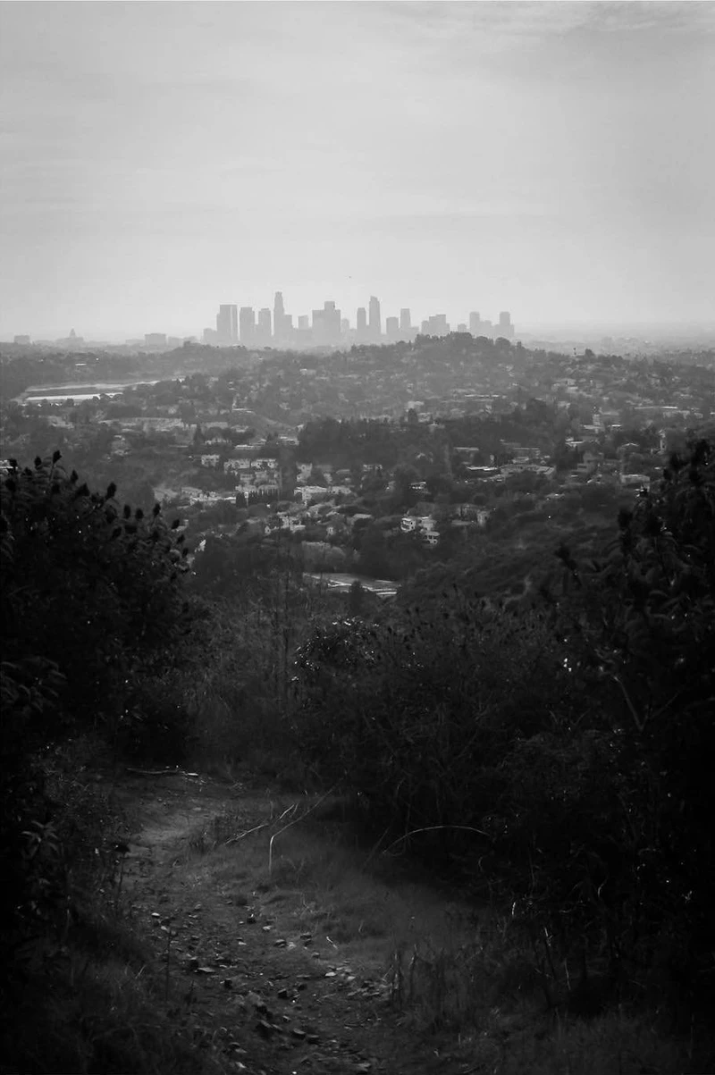 Photograph by Max Goldberg (6 of 44)