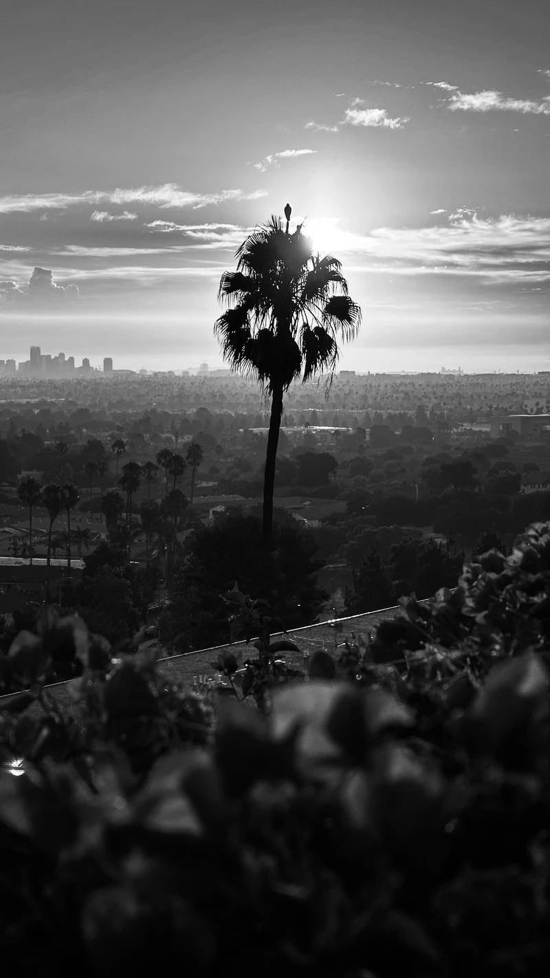 Photograph by Max Goldberg (32 of 44)