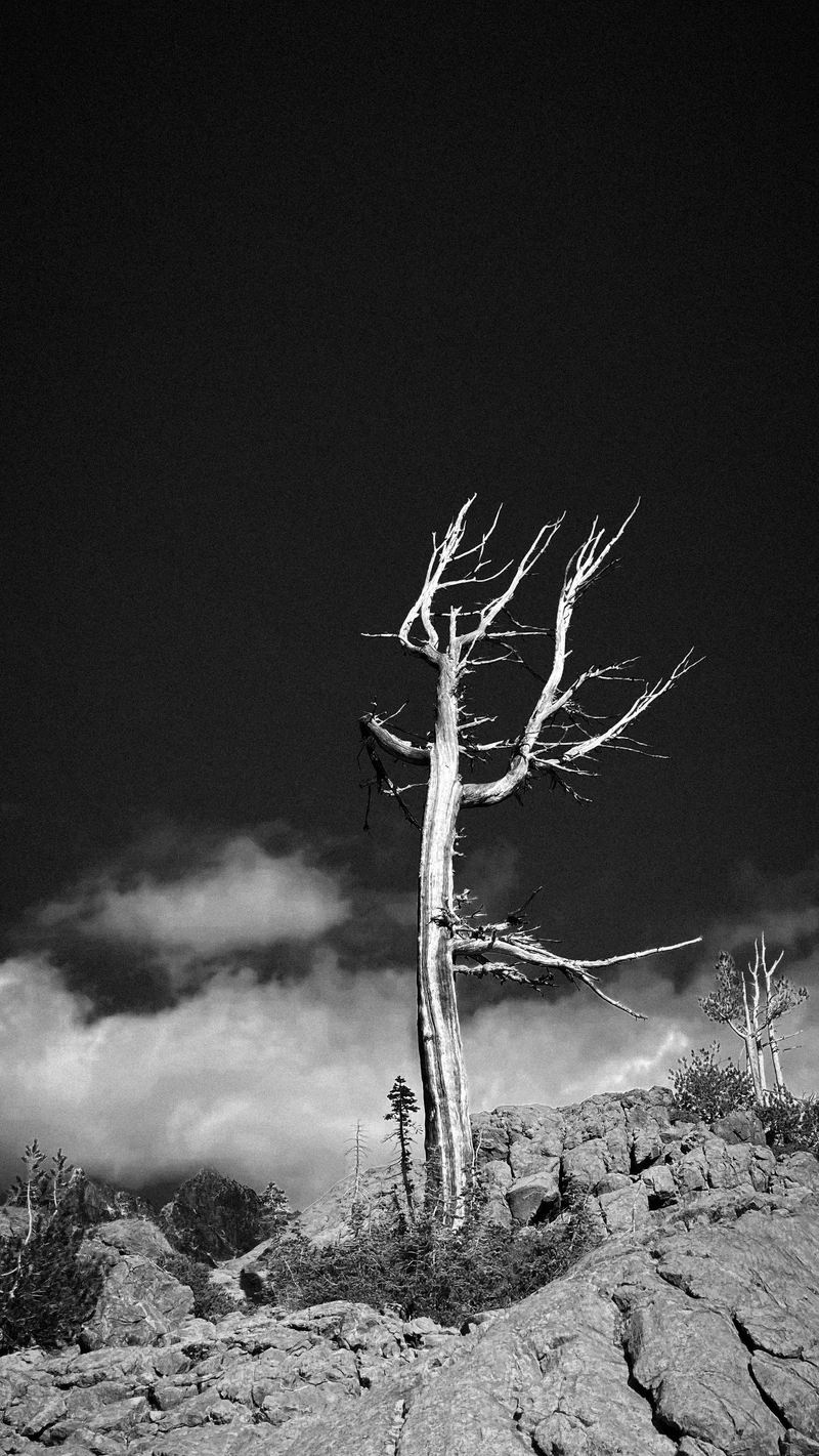 Photograph by Max Goldberg (34 of 44)